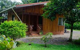 Natural Harmony Cabin