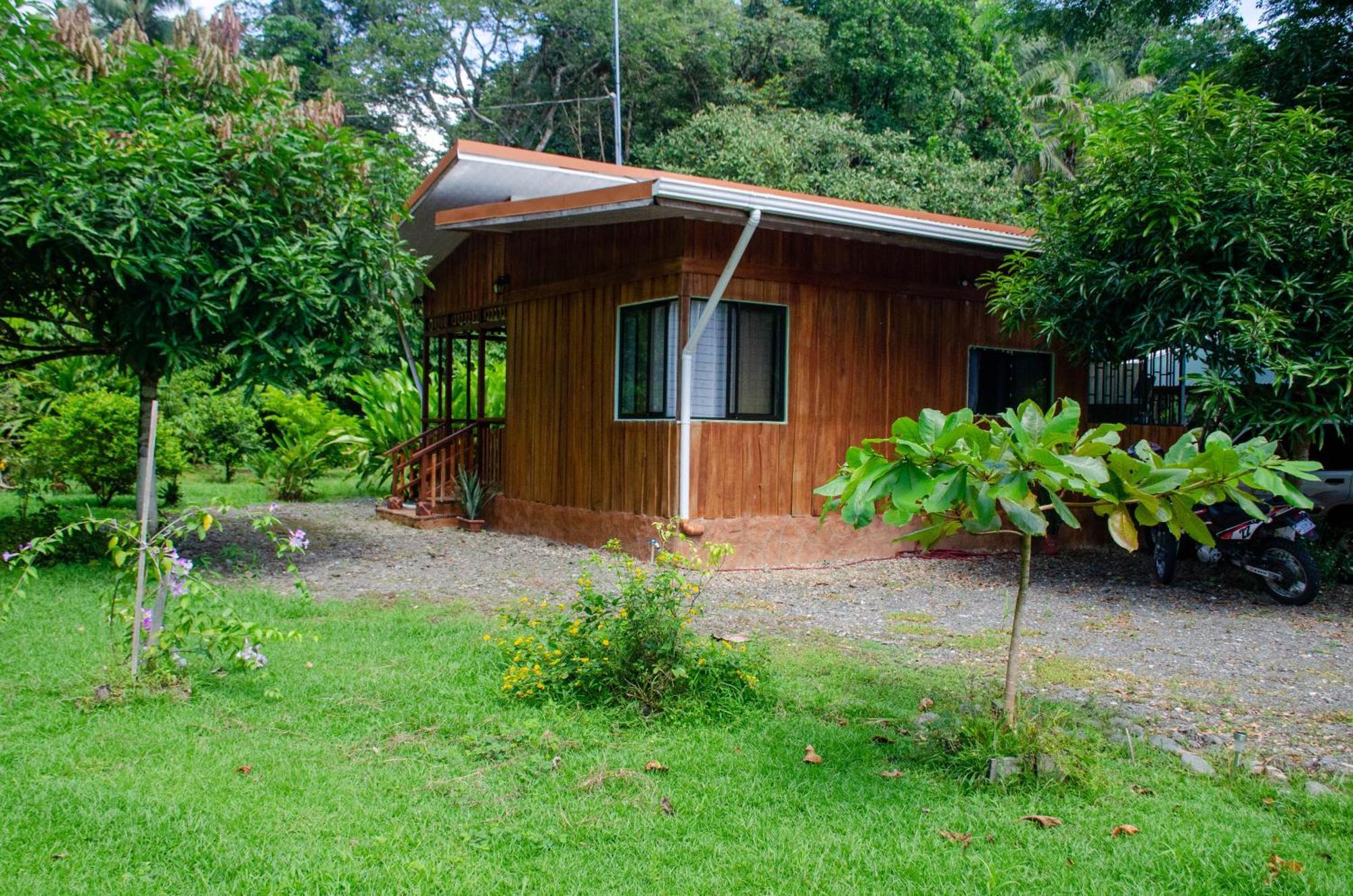 Natural Harmony Cabin Puerto Jimenez Exterior photo